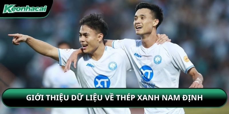 Giới thiệu dữ liệu về Thép xanh Nam Định