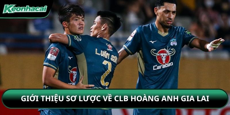 Giới thiệu sơ lược về CLB Hoàng Anh Gia Lai