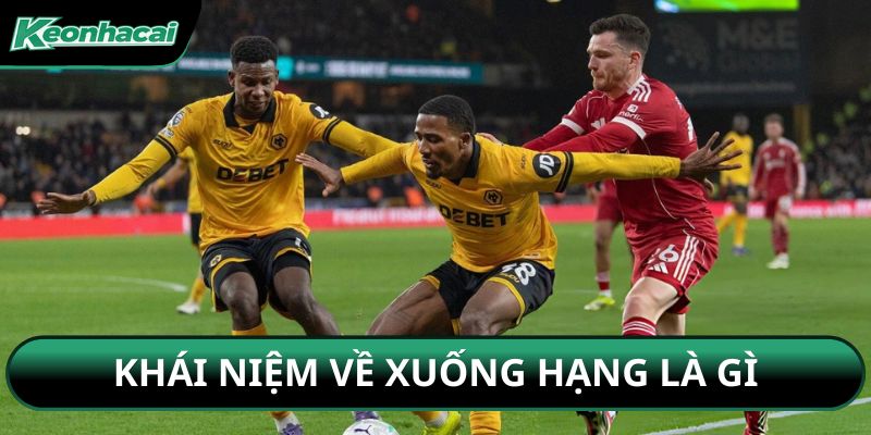 Khái niệm về xuống hạng là gì