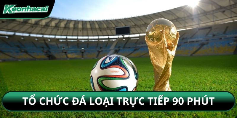 Tổ chức đá loại trực tiếp 90 phút